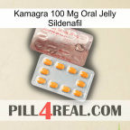 Kamagra 100Mg Oral Jelly Sildenafil new13